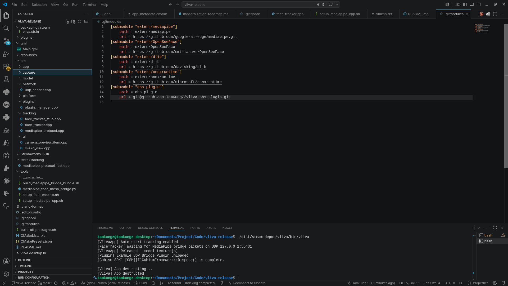 VLiva development build preview